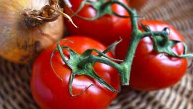 tomatoes, vegetable, food