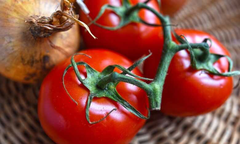 tomatoes, vegetable, food