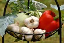 vegetables, paprika, garlic, healthy, food, vitamins, vegetable plant, fresh, yummy, vegetables, garlic, garlic, garlic, garlic, garlic