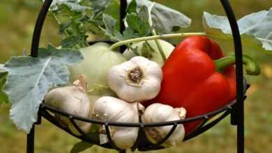 vegetables, paprika, garlic, healthy, food, vitamins, vegetable plant, fresh, yummy, vegetables, garlic, garlic, garlic, garlic, garlic