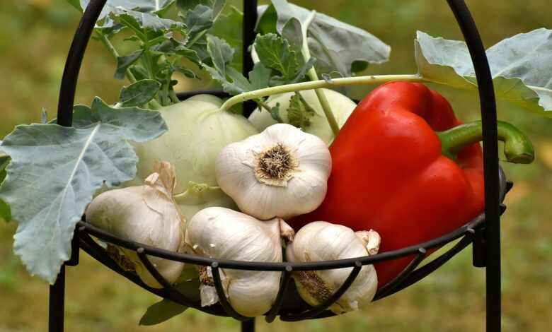 vegetables, paprika, garlic