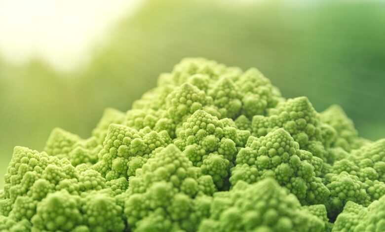 romanesco, vegetables, green