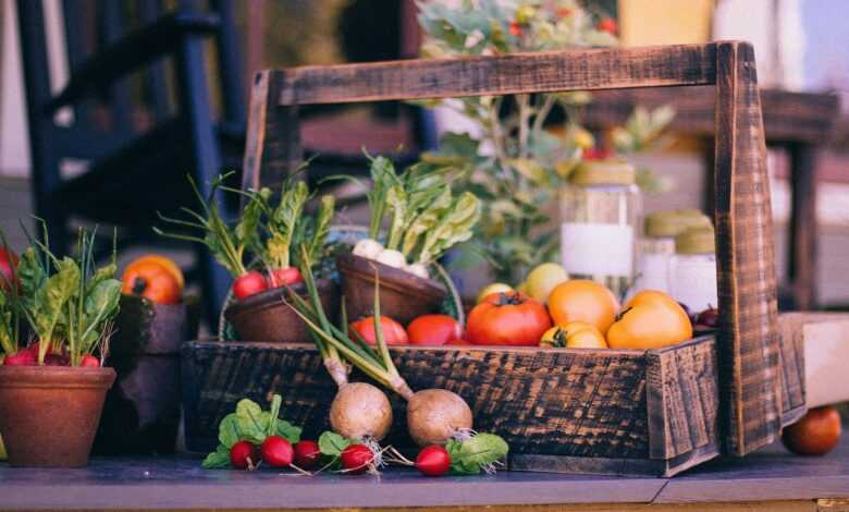 vegetable basket, fruit basket, nature