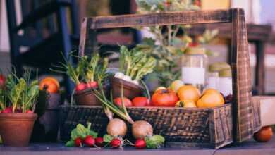 vegetable basket, fruit basket, harvest