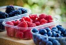 berries, fruit, nutrition, blueberries, raspberries, vitamins, sweet, healthy, berries, berries, berries, berries, fruit, fruit, nutrition, nutrition, nutrition, nutrition, nutrition, blueberries