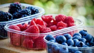 berries, fruit, nutrition, blueberries, raspberries, vitamins, sweet, healthy, berries, berries, berries, berries, fruit, fruit, nutrition, nutrition, nutrition, nutrition, nutrition, blueberries