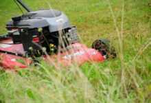 lawn mower, grass mulch, lawn, meadow, grass, nature, sports ground, lawn mower, lawn mower, lawn mower, lawn mower, lawn mower