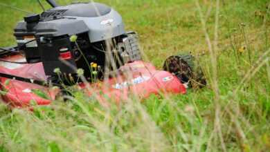 lawn mower, grass mulch, lawn, meadow, grass, nature, sports ground, lawn mower, lawn mower, lawn mower, lawn mower, lawn mower