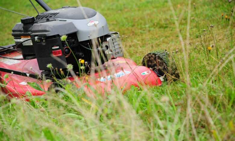 lawn mower, grass mulch, lawn, meadow, grass, nature, sports ground, lawn mower, lawn mower, lawn mower, lawn mower, lawn mower