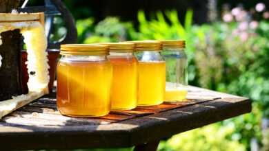 honey, jars, harvest, bees, garden, honey jars, glass containers, glass jars, golden, pure, raw, honey, nature, honey, honey, honey, honey