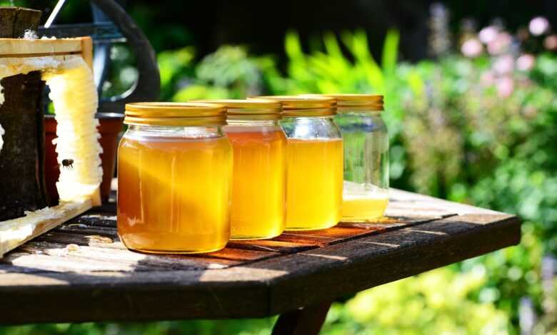 honey, jars, harvest, bees, garden, honey jars, glass containers, glass jars, golden, pure, raw, honey, nature, honey, honey, honey, honey