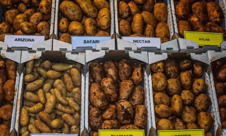 potatoes, variety, vegetable