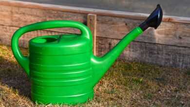 watering can, garden, flower wallpaper