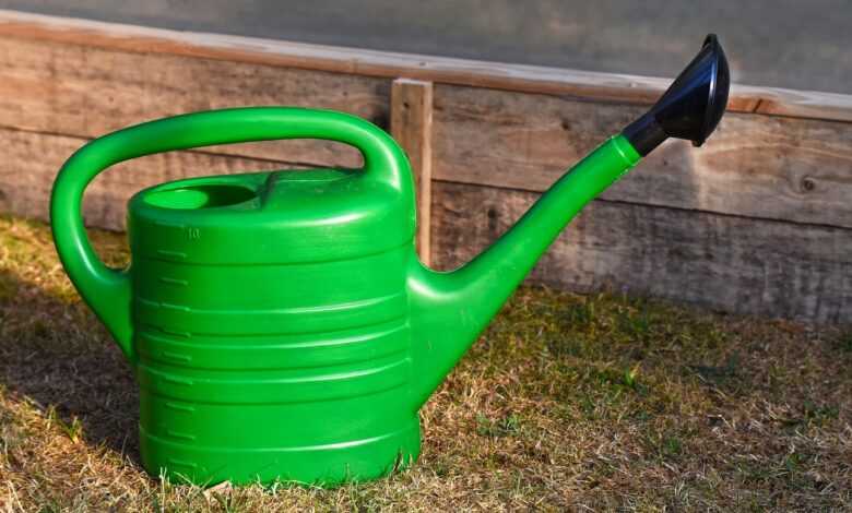 watering can, garden, flower wallpaper