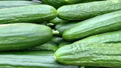 Pile of Cucumbers