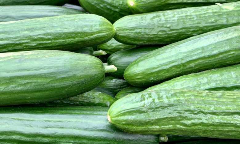 Pile of Cucumbers