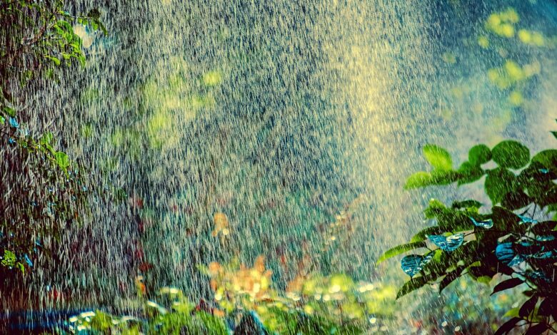 sprinkler, irrigation, backlighting, water, nature, spray, sprinkler system, splash, spraying, summer, heatwave, park, gardening