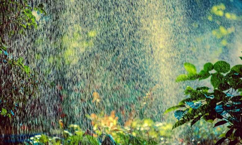 sprinkler, irrigation, backlighting, water, spray, sprinkler system, splash, nature, spraying, summer, heatwave, park, gardening