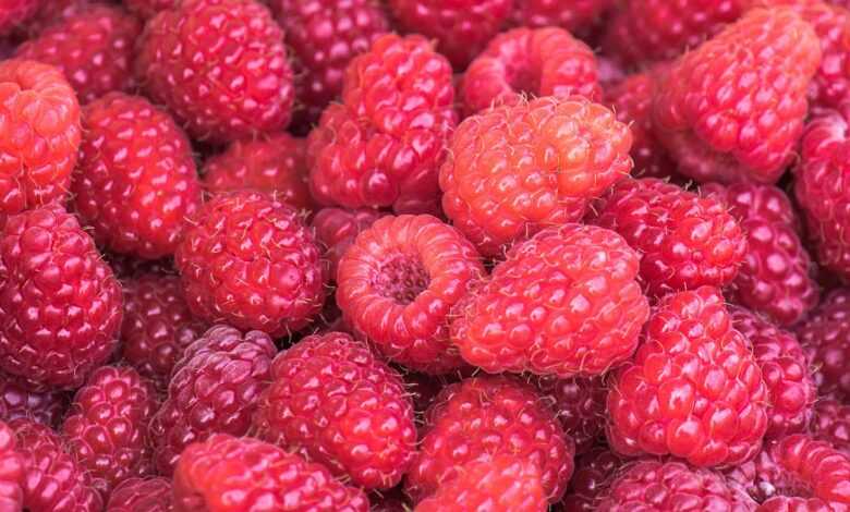 raspberries, fruits, food