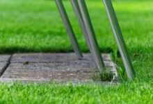 chair legs, chair, grass, green, seating, garden, macro, terrace, close up, leg, nature, iron, metal, aluminum, garden furniture, furniture, outdoors