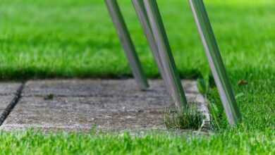 chair legs, chair, grass, green, seating, garden, macro, terrace, close up, leg, nature, iron, metal, aluminum, garden furniture, furniture, outdoors