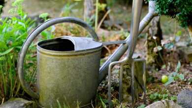 watering can, digging fork, gardening