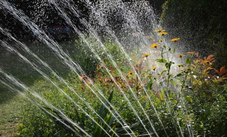 garden, irrigation, nature, water, sprinkler, waterdrop, artificially, splash