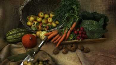 vegetables, ingredients, harvest