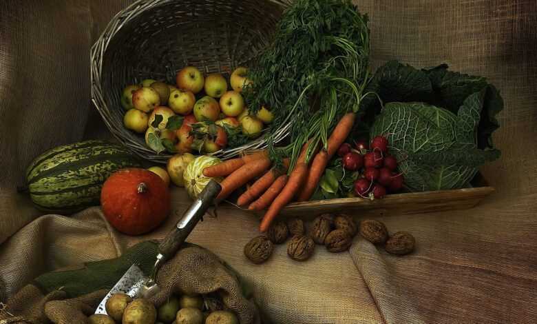 vegetables, ingredients, harvest