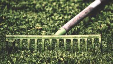computing, garden, work, gardening, nature, gardening equipment, working device, raking leaves, nature, raking leaves, raking leaves, raking leaves, raking leaves, raking leaves