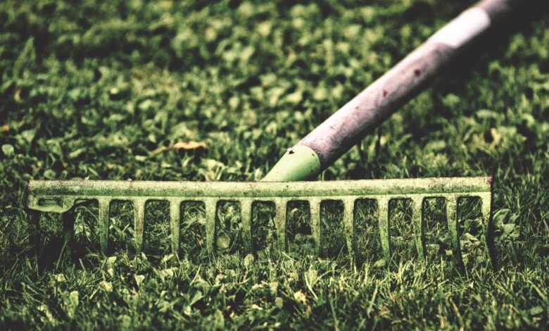 computing, garden, work, gardening, nature, gardening equipment, working device, raking leaves, nature, raking leaves, raking leaves, raking leaves, raking leaves, raking leaves