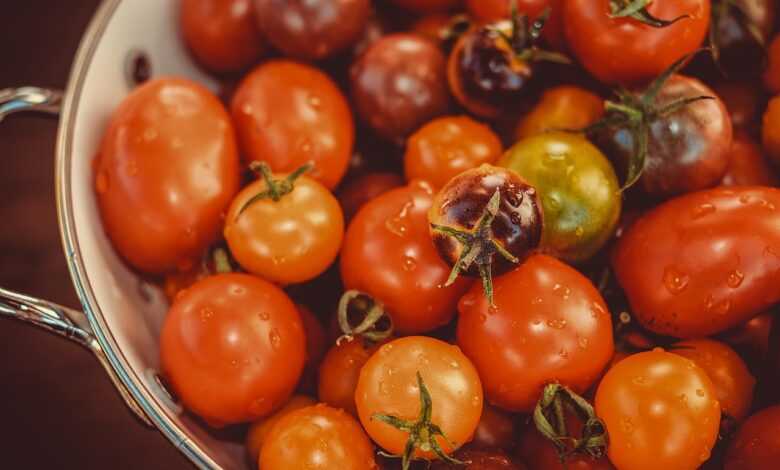 tomatoes, vegetables, food