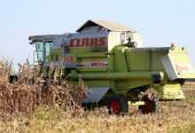 harvester claas dominator 98 sl, in the field, corn harvesting, equipment, agricultural, machinery, farming, nature, outdoor