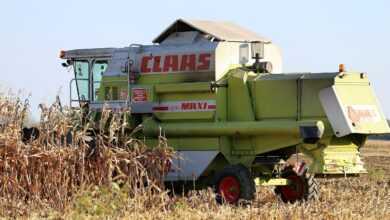 harvester claas dominator 98 sl, in the field, corn harvesting, equipment, agricultural, machinery, farming, nature, outdoor