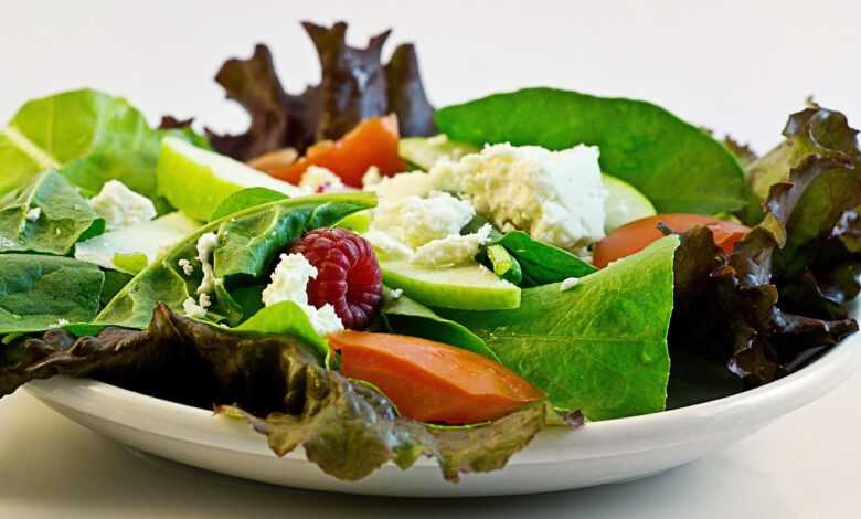 salad, fresh, organic, food, diet, health, dieting, meal, weight-loss