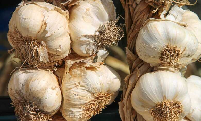 garlic, ingredient, flavor