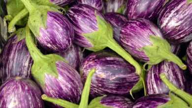 eggplant, fruit, vegetables