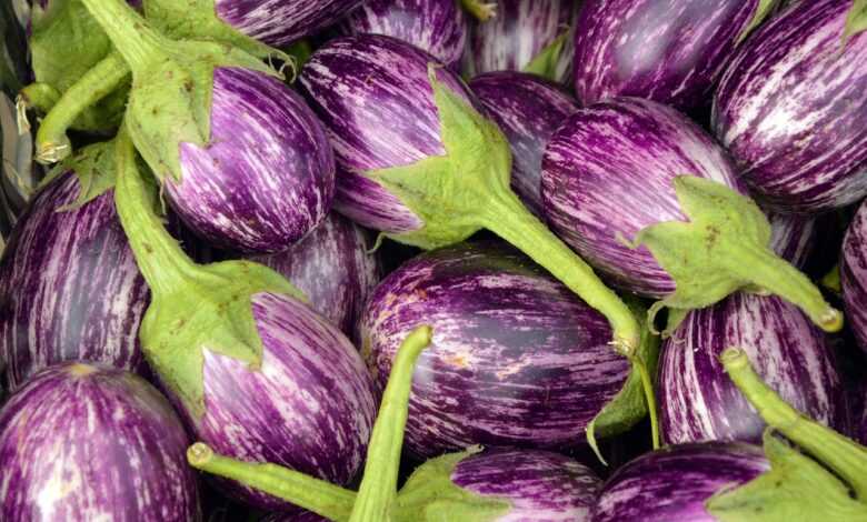 eggplant, fruit, vegetables