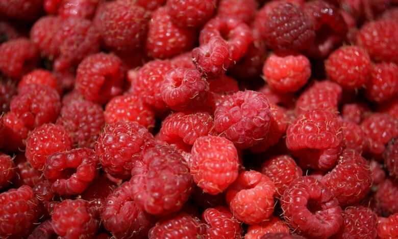 raspberries, fruits, berries