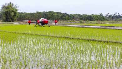 plant protection drone, agricultural drones, drone, aviation of plant protection drone, agriculture, flight, innovation, fruit trees plant protection drone, full autonomous flight, agricultural drones, agricultural drones, agricultural drones, agricultural drones, agricultural drones, drone, drone, drone
