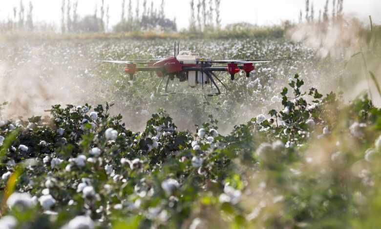 drone, plant protection drone, agricultural drones, farmland sprayer, fruit trees plant protection drone, aviation of plant protection drone, drone, drone, drone, drone, drone