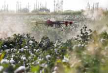 drone, plant protection drone, agricultural drones, farmland sprayer, fruit trees plant protection drone, aviation of plant protection drone, drone, drone, drone, drone, drone