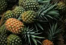 pineapple, fruit, food