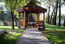 pergola, nature, green, natural, wood, path, autumn, pergola, pergola, pergola, pergola, pergola