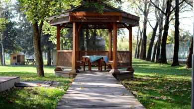 pergola, nature, green, natural, wood, path, autumn, pergola, pergola, pergola, pergola, pergola