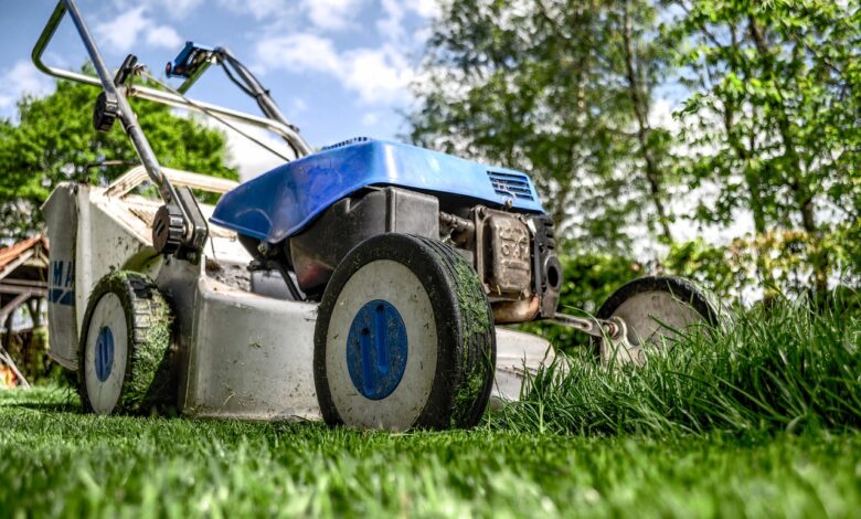 lawn mower, grass, garden, front yard, gardening, lawn-mower chassis, lawn, cutting, gardener, equipment, machine, backyard, mower, nature, maintenance, yard