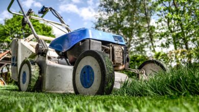 lawn mower, grass, garden, front yard, gardening, lawn-mower chassis, lawn, cutting, gardener, equipment, machine, nature, backyard, mower, maintenance, yard