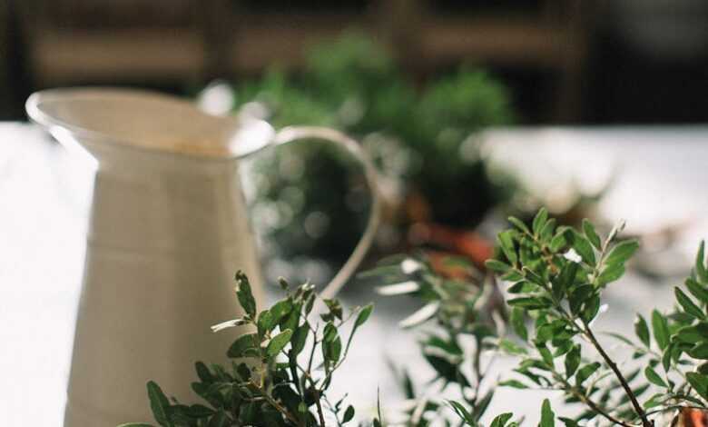 Fresh thyme bunch placed on table with ceramic jug