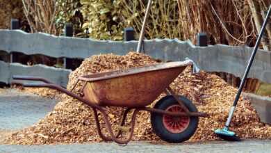 gardening, nature, wheelbarrows