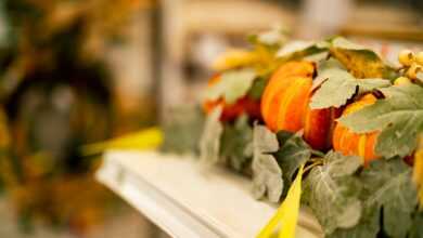 a row of pumpkins sitting on top of a shelf